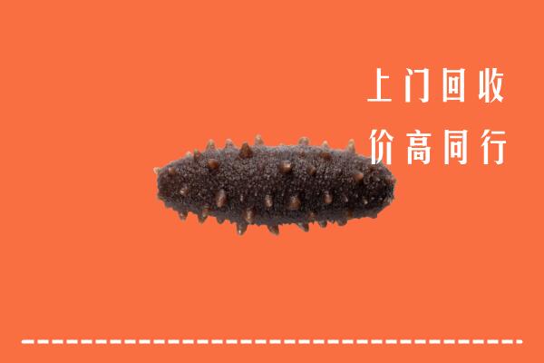 梧州高价回收海参